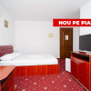 Oportunitate Unică de Investiție: Pensiunea Crystal, Rediu, Iași thumb 5